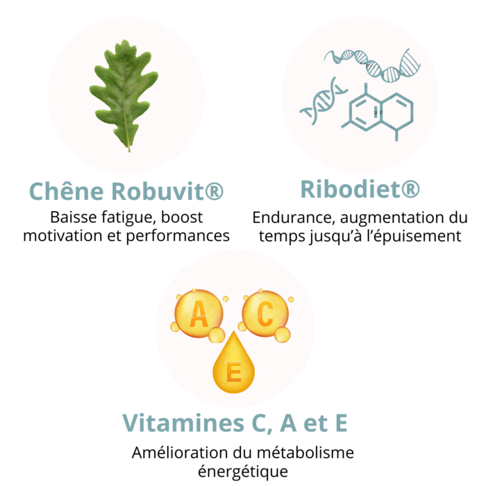 compo-energie-ultra