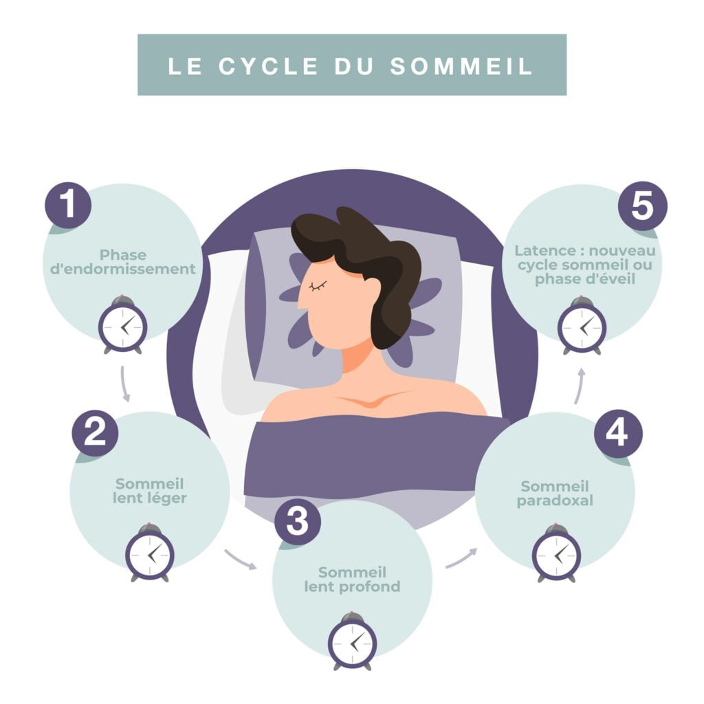 Sommeil : rythme, bienfaits et cycles du sommeil - Santé sur le Net