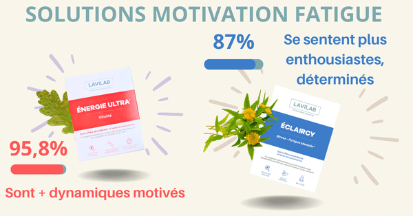 flemme fatigue motivation