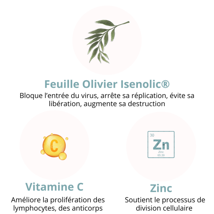 compo-immunite-flash