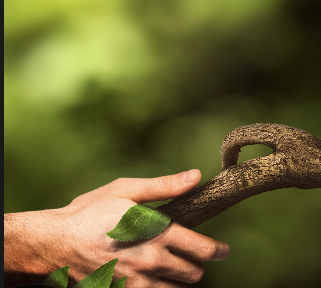 naturalité des compléments alimentaires à base de plantes